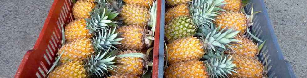 6 juin 2015 - St-Pierre - Marché forain - Sakifo - Caisse d'ananas