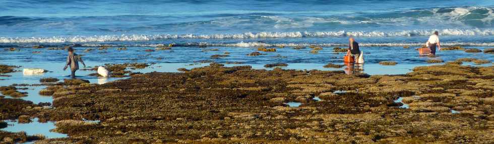 6 juin 2015 - St-Pierre - Mare basse dans le lagon