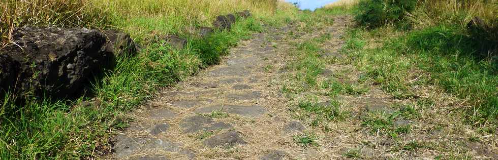 19 juin 2015 - St-Paul - Savane  htropogon contortus  et chemin pav