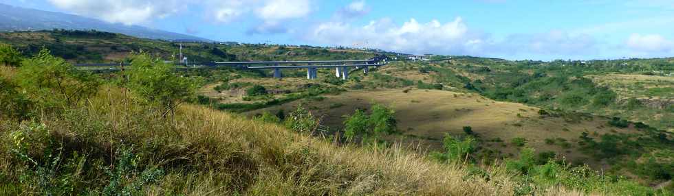 19 juin 2015 - St-Paul - Savane  htropogon contortus  et viaduc de la route des Tamarins