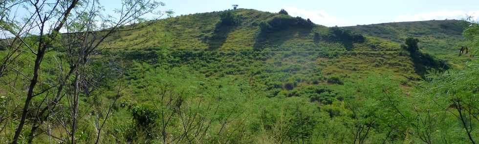 19 juin 2015 - St-Paul - Ravine Boucan Canot