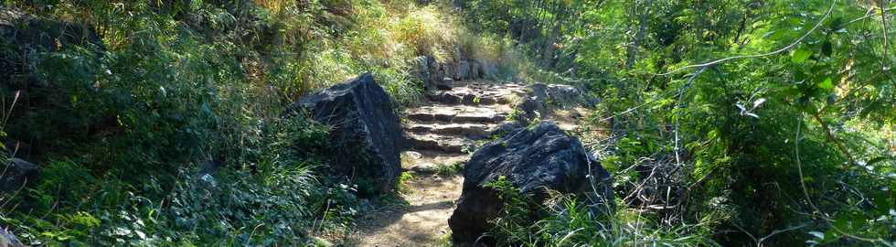 Septembre 2015 - St-Gilles les Bains - Sentier touristique du Verger Bottard -