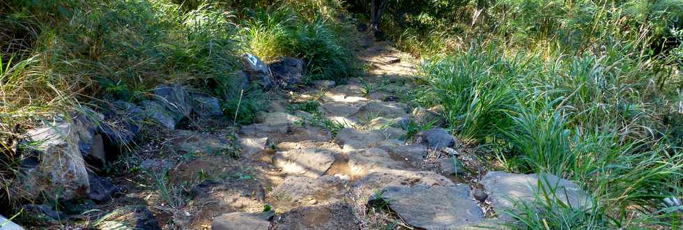 Septembre 2015 - St-Gilles les Bains - Sentier touristique du Verger Bottard -