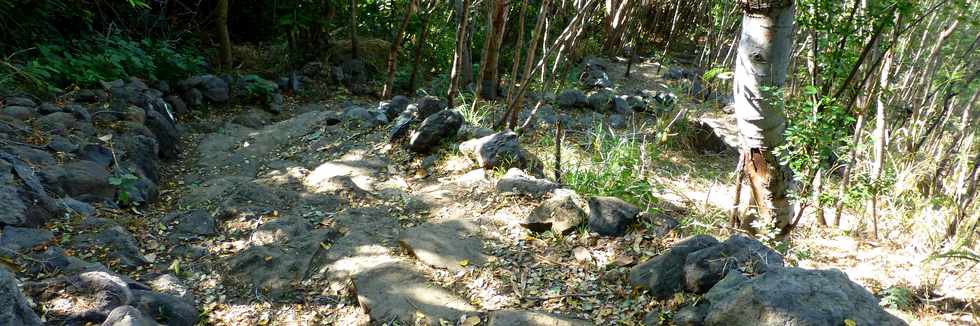 Septembre 2015 - St-Gilles les Bains - Sentier touristique du Verger Bottard -