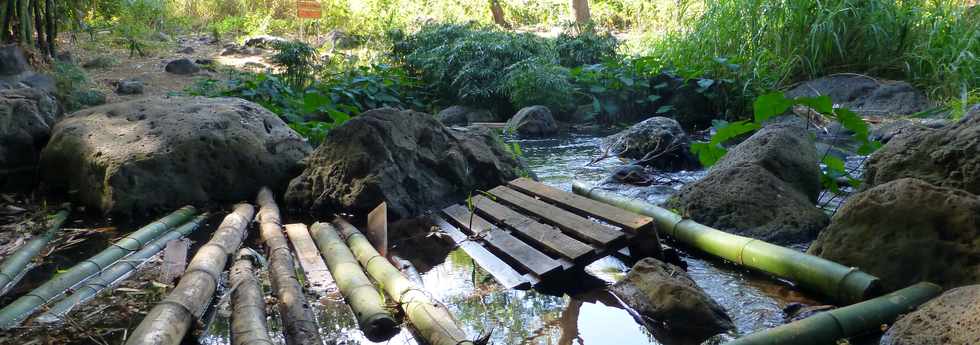 Septembre 2015 - St-Gilles les Bains - Sentier du Verger Bottard -  Ravine St-Gilles