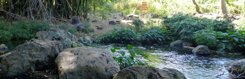 Septembre 2015 - St-Gilles les Bains - Sentier du Verger Bottard -  Ravine St-Gilles