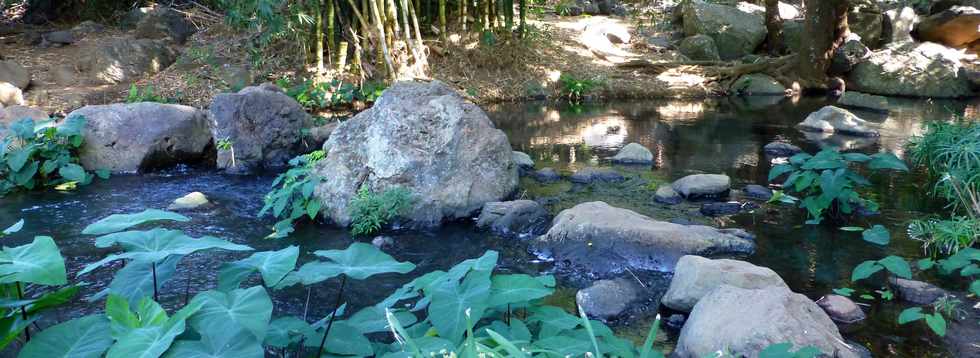 Septembre 2015 - St-Gilles les Bains - Sentier du Verger Bottard -  Ravine St-Gilles