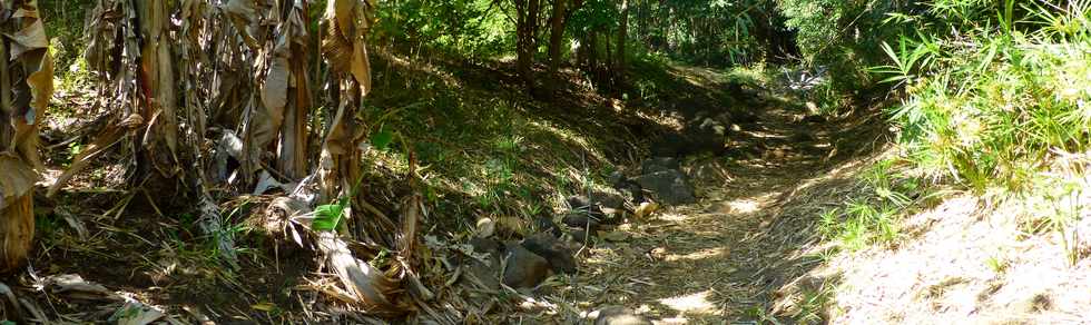 Septembre 2015 - St-Gilles les Bains - Sentier du Verger Bottard -  Ravine St-Gilles