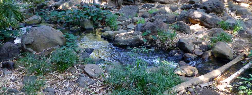 Septembre 2015 - St-Gilles les Bains - Sentier du Verger Bottard -  Ravine St-Gilles