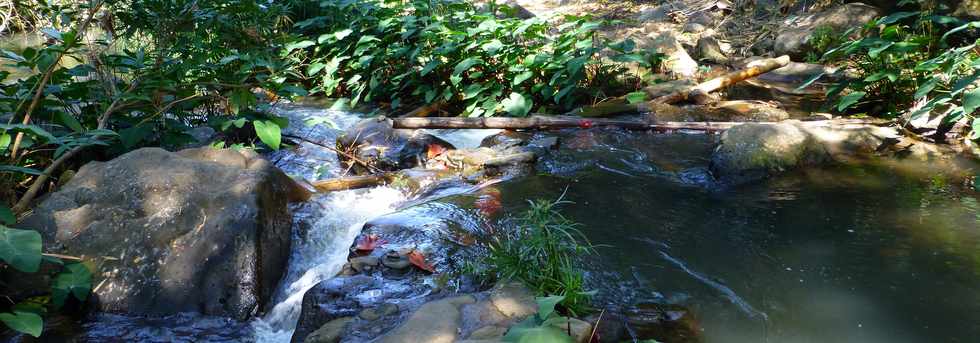 Septembre 2015 - St-Gilles les Bains - Sentier du Verger Bottard -  Ravine St-Gilles