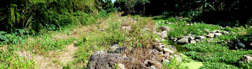 Septembre 2015 - St-Gilles les Bains - Sentier du Verger Bottard -  Ravine St-Gilles - Cresson