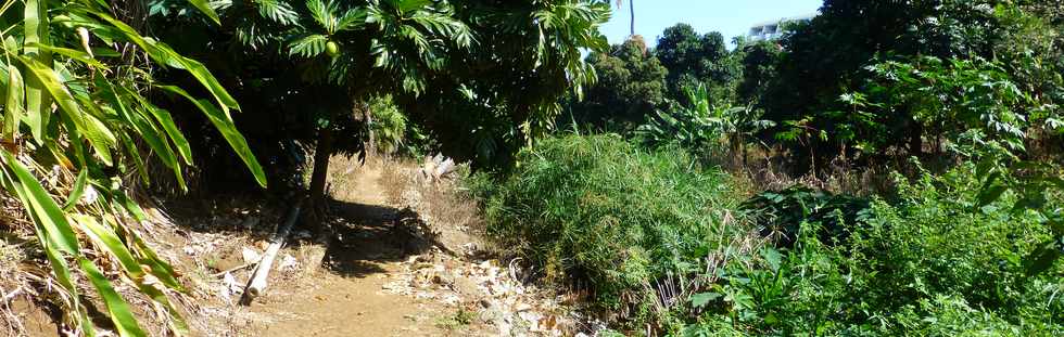 Septembre 2015 - St-Gilles les Bains - Sentier du Verger Bottard -  Ravine St-Gilles