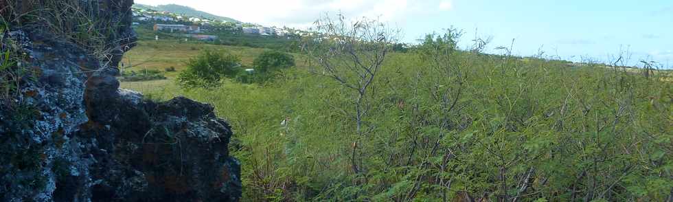 22 avril 2016 - St-Leu - Entre Stella et la Pointe au Sel - Piton des Roches Tendres