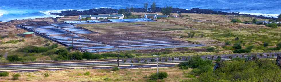 22 avril 2016 - St-Leu - Entre Stella et la Pointe au Sel - Piton des Roches Tendres - Salines