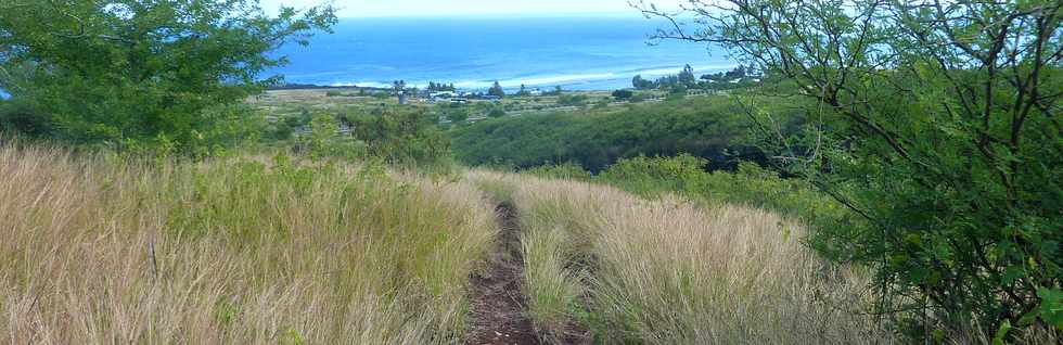 22 avril 2016 - St-Leu - Entre Stella et la Pointe au Sel - Piton des Roches Tendres