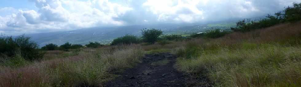 22 avril 2016 - St-Leu - Entre Stella et la Pointe au Sel - Piton des Roches Tendres