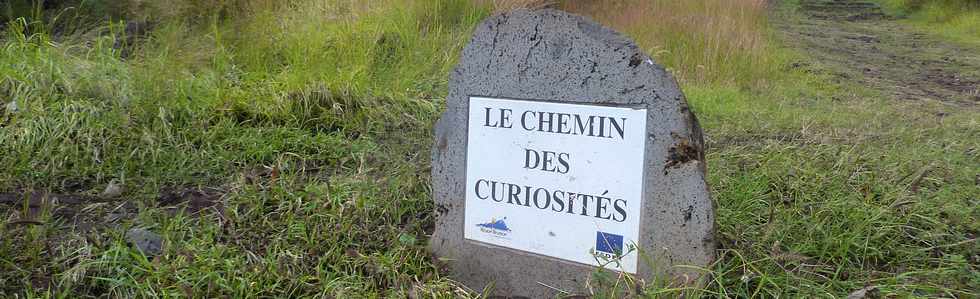 22 avril 2016 - St-Leu - Piton des Roches Tendres - Chemin des curiosités
