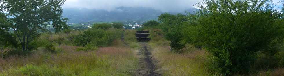 22 avril 2016 - St-Leu - Piton des Roches Tendres - Chemin des curiosits