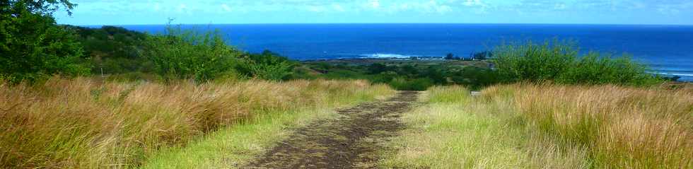 22 avril 2016 - St-Leu - Piton des Roches Tendres - Chemin des curiosits