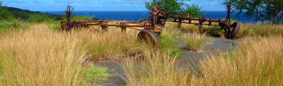 22 avril 2016 - St-Leu - Piton des Roches Tendres - Chemin des curiosits