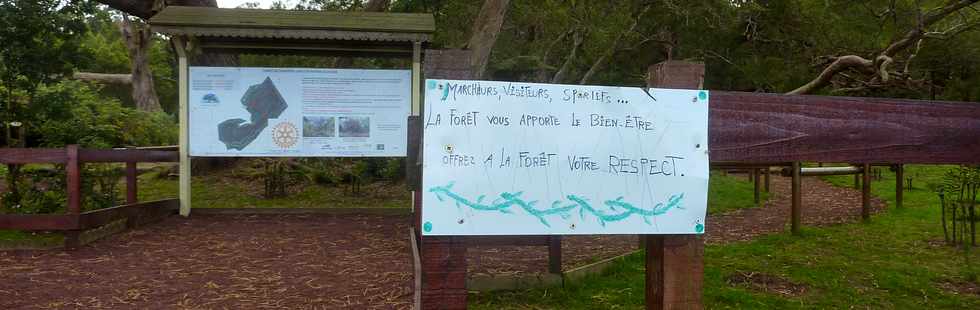 25 avril 2016 - Le Tampon - Fort du Piton de la Ravine Blanche - Association Tamar'haut - Sentiers pdestres -