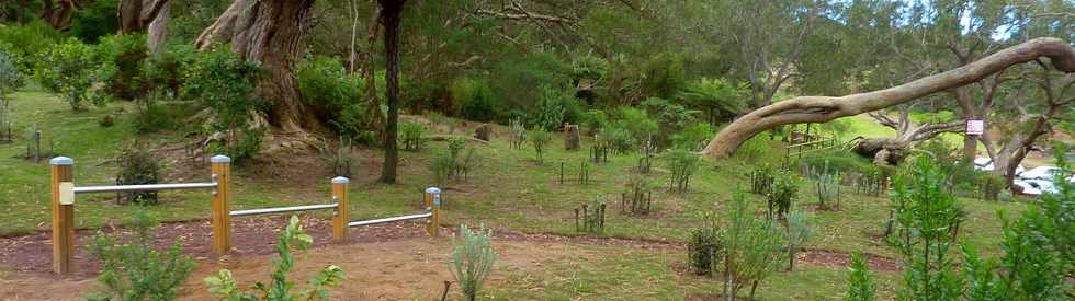 25 avril 2016 - Le Tampon - Fort du Piton de la Ravine Blanche - Association Tamar'haut - Sentiers pdestres -