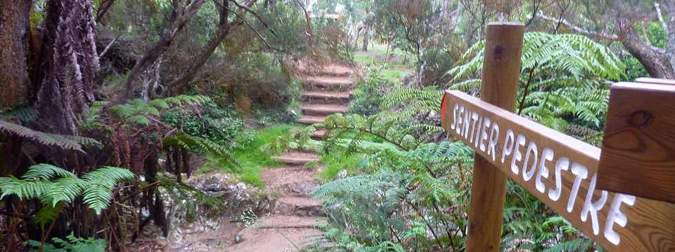 25 avril 2016 - Le Tampon - Fort du Piton de la Ravine Blanche - Association Tamar'haut - Sentiers pdestres -