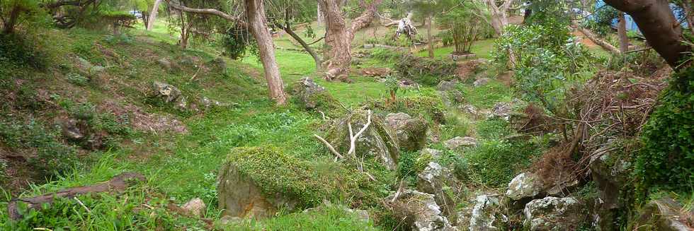 25 avril 2016 - Le Tampon - Fort du Piton de la Ravine Blanche - Association Tamar'haut - Sentiers pdestres -