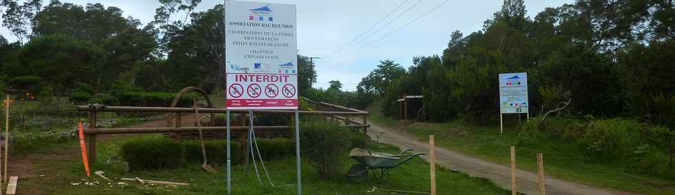 25 avril 2016 - Le Tampon - Fort du Piton de la Ravine Blanche - Association Tamar'haut - Sentiers pdestres -