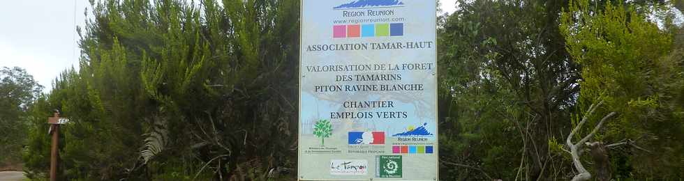 25 avril 2016 - Le Tampon - Fort du Piton de la Ravine Blanche - Association Tamar'haut - Sentiers pdestres -