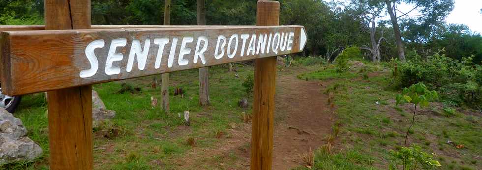 26 avril 2016 - Le Tampon - Association Tamar'haut - Sentier botanique de la fort du Piton de la Ravine Blanche -