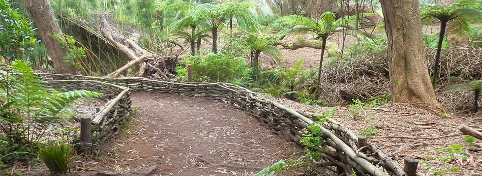 26 avril 2016 - Le Tampon - Association Tamar'haut - Sentier botanique de la fort du Piton de la Ravine Blanche -