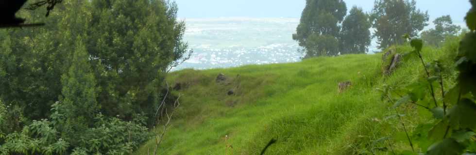 26 avril 2016 - Le Tampon - Association Tamar'haut - Sentiers de la fort du Piton de la Ravine Blanche