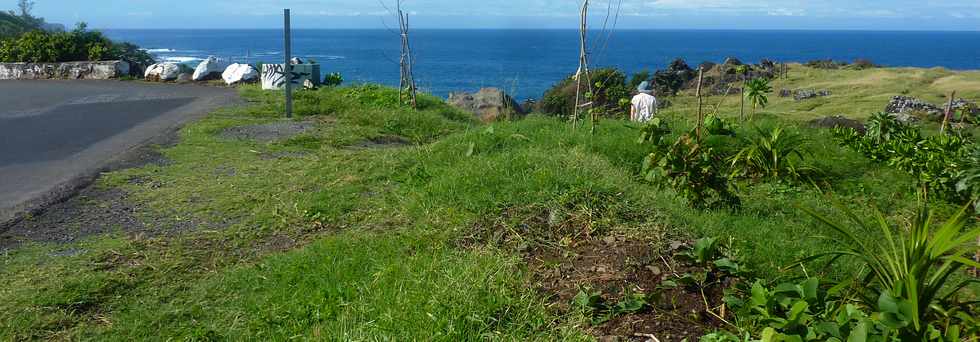 29 avril 2016 - St-Pierre - Pointe de la Ravine des Cafres -  Espace naturel -