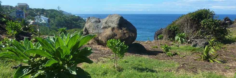 29 avril 2016 - St-Pierre - Pointe de la Ravine des Cafres -  Espace naturel -