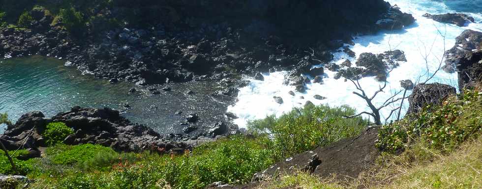 29 avril 2016 - St-Pierre - Pointe de la Ravine des Cafres -  Espace naturel - Bassin 18