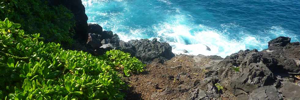 29 avril 2016 - St-Pierre - Pointe de la Ravine des Cafres -  Espace naturel -