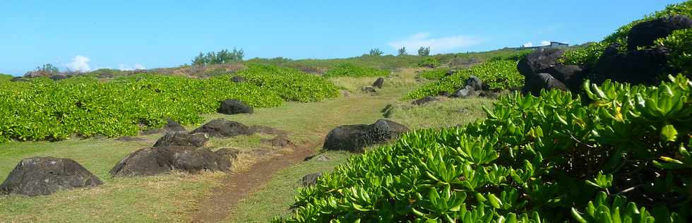 29 avril 2016 - St-Pierre - Terre Rouge -  Espace naturel protg -