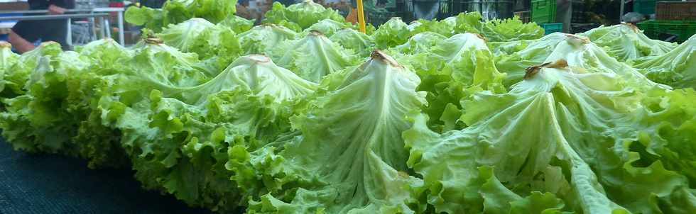 14 mai 2016 - St-Pierre - March forain - Salades de Mare  Martin