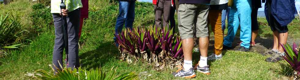 22 mai 2016 - St-Pierre - Ple valorisation du patrimoine - Confrence sur site d'Olivier Hoarau, professeur SNV - La POinte du Diable - Aperus sur l'histoire gologique rcente et l'occupation humaine -