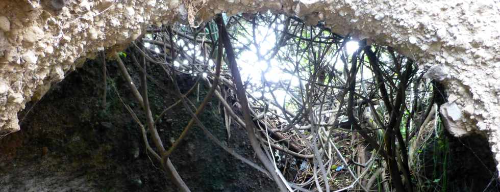 22 mai 2016 - St-Pierre - Ple valorisation du patrimoine - Confrence sur site d'Olivier Hoarau, professeur SNV - La POinte du Diable - Aperus sur l'histoire gologique rcente et l'occupation humaine -