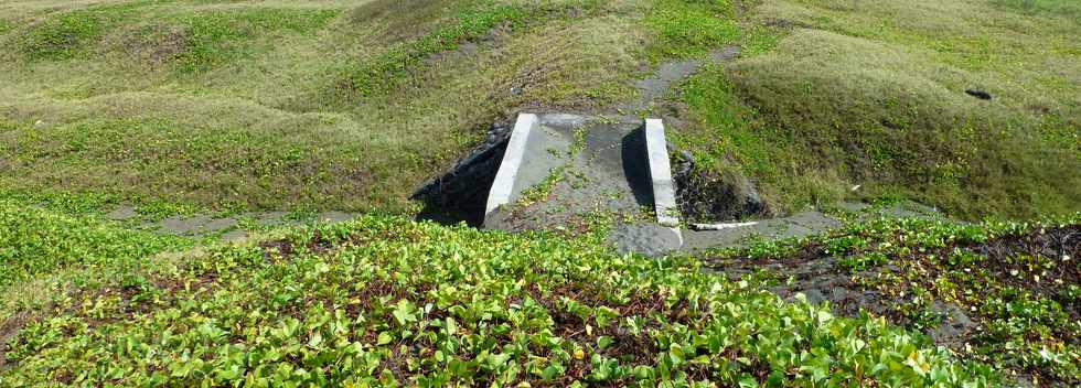 22 mai 2016 - St-Pierre - Ple valorisation du patrimoine - Confrence sur site d'Olivier Hoarau, professeur SNV - La POinte du Diable - Aperus sur l'histoire gologique rcente et l'occupation humaine -