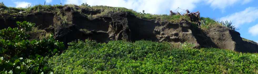 8 juillet 2016 - St-Pierre - Pointe du Diable - Falaise de la Petite Baie