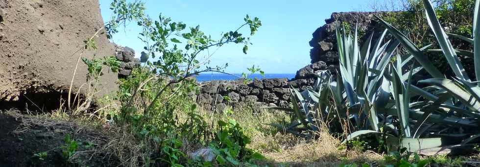 8 juillet 2016 - St-Pierre - Pointe du Diable - Falaise de la Petite Baie  - Cavits creuses dans le tuf