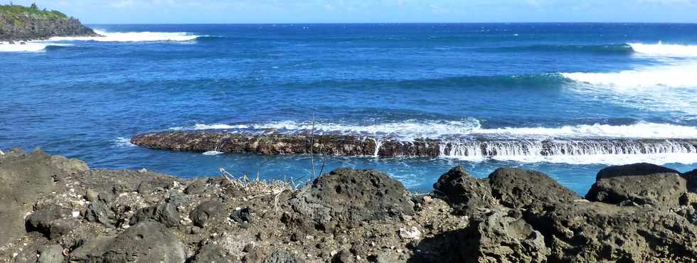 8 juillet 2016 - St-Pierre - Pointe du Diable - Falaise de la Petite Baie  -