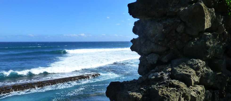 8 juillet 2016 - St-Pierre - Pointe du Diable - Falaise de la Petite Baie  -