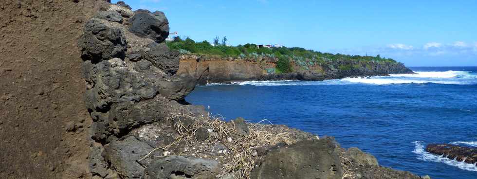 8 juillet 2016 - St-Pierre - Pointe du Diable - Falaise de la Petite Baie  -