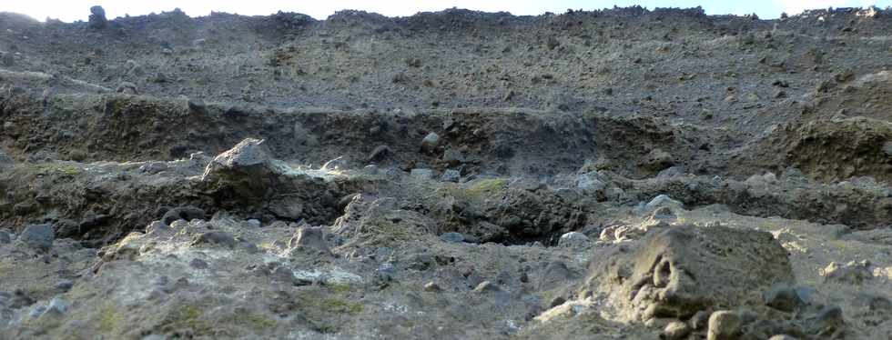 8 juillet 2016 - St-Pierre - Pointe du Diable - Falaise de la Petite Baie  -