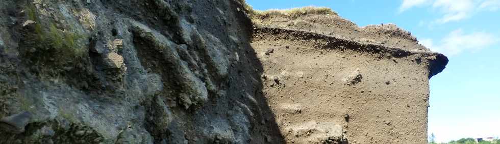 8 juillet 2016 - St-Pierre - Pointe du Diable - Falaise de la Petite Baie  -