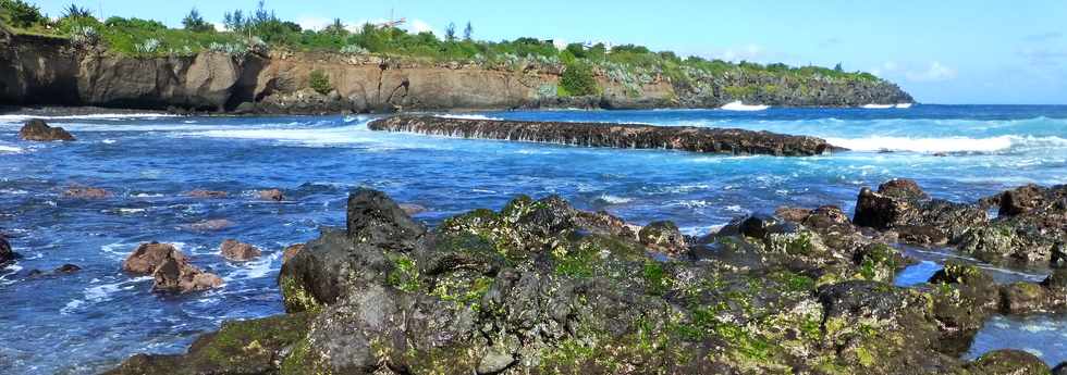 8 juillet 2016 - St-Pierre - Pointe du Diable - Falaise de la Petite Baie  -